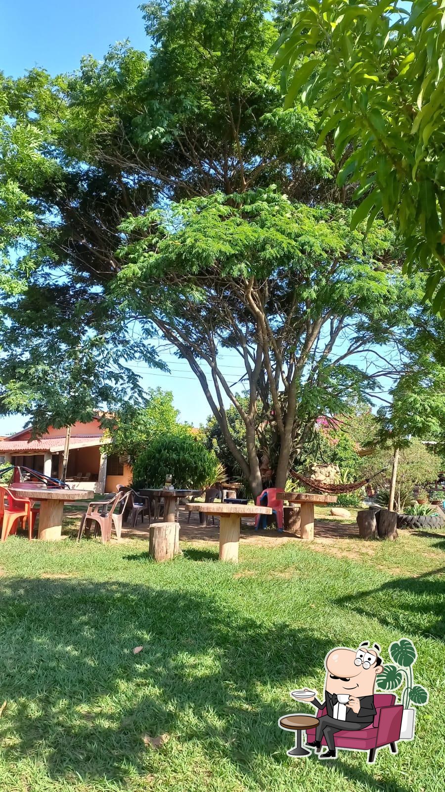 Mesas ao ar livre sob as árvores do Pesqueiro Vitória