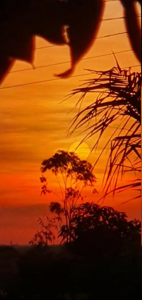 Céu alaranjado no entardecer entre as árvores do Pesqueiro Vitória