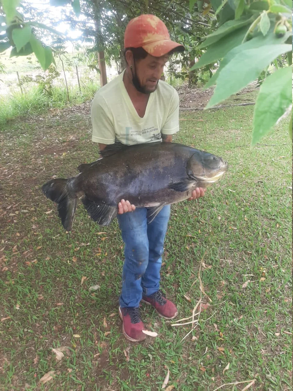 Pescador segurando um grande peixe em área arborizada